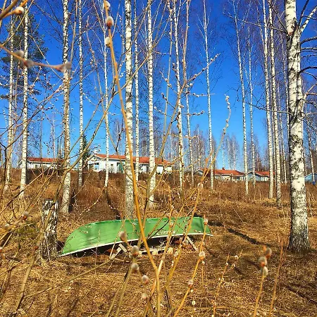 Art Residency Silver Cranes Hotel Äänekoski