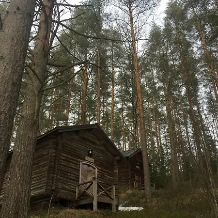Hotel Art Residency Silver Cranes Äänekoski