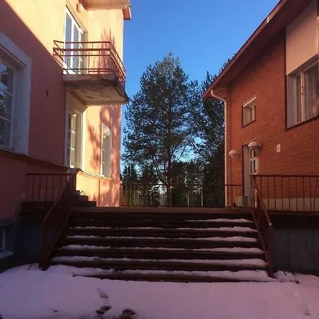Art Residency Silver Cranes Äänekoski